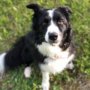 Meet your Posher, Becky